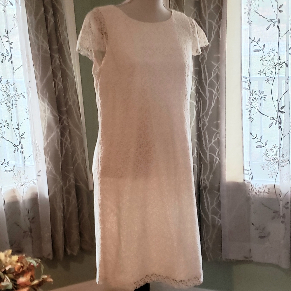 Talbots Lace Sheath Dress